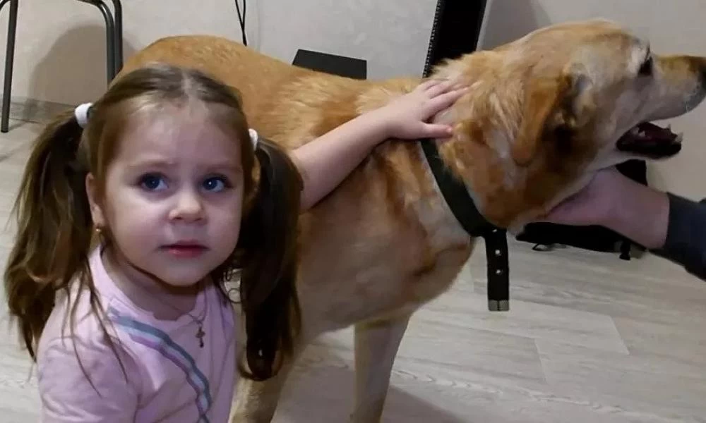 Τυχερό στην ατυχία του στάθηκε τυφλό σκυλάκι